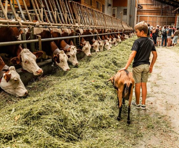 Visites de fermes