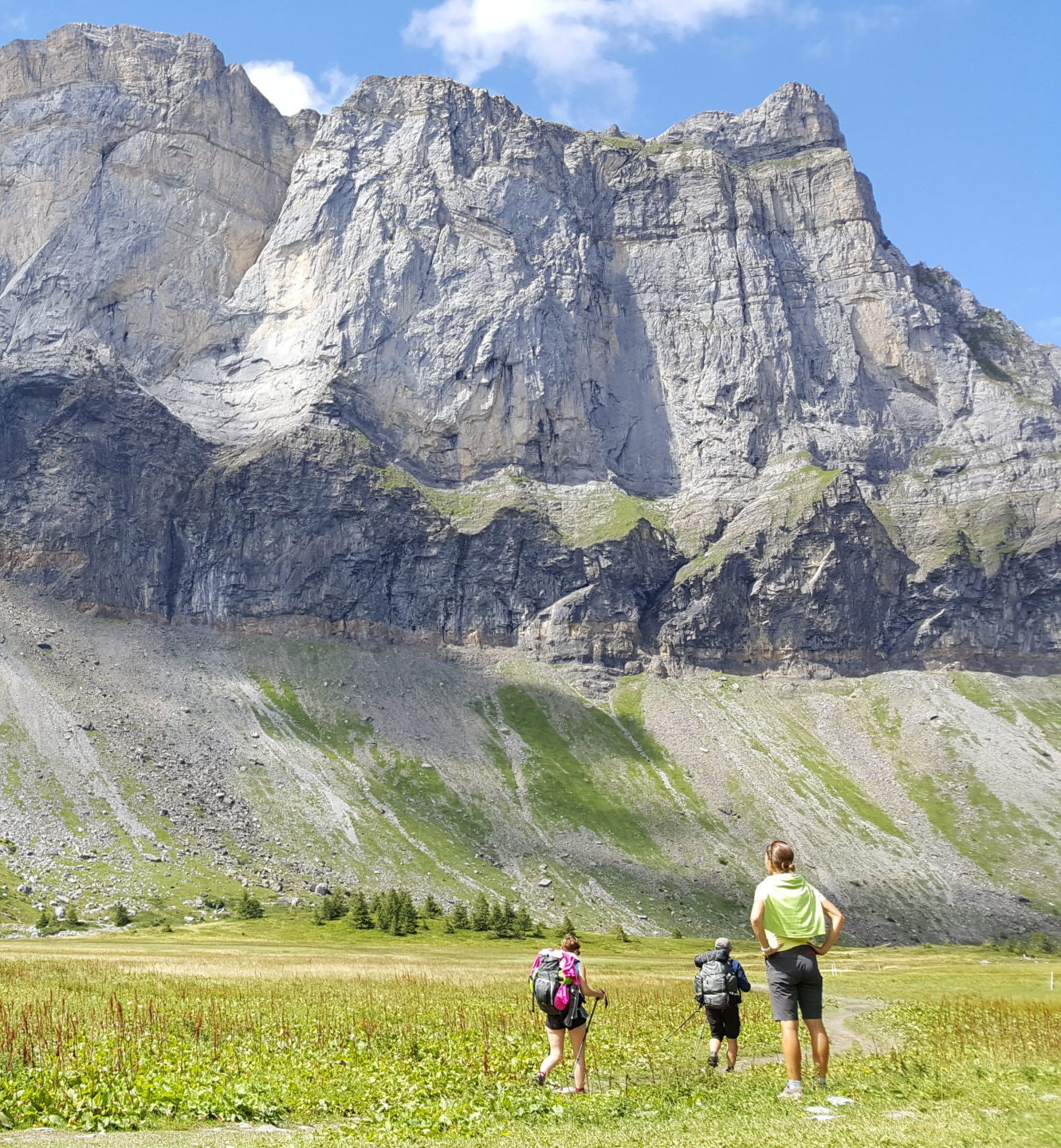 Summer hikes