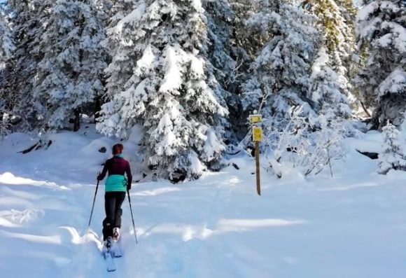 Winter hikes