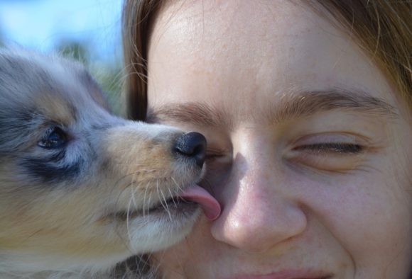 Découvrir Passy avec un chien