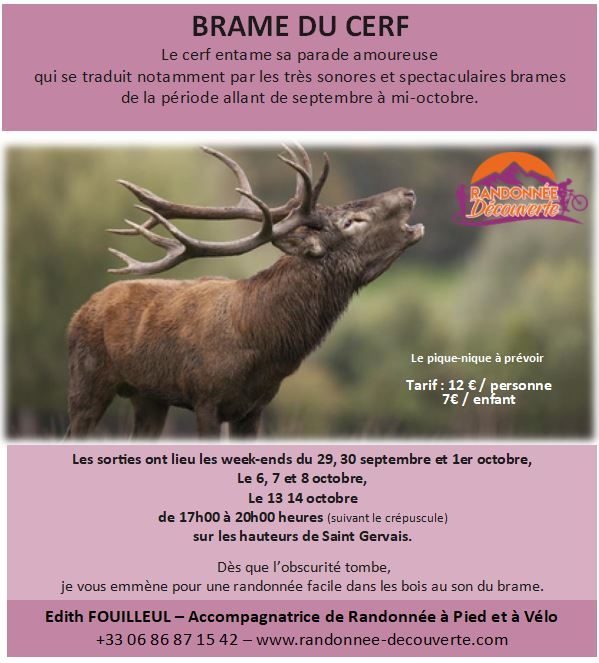 Brame du Cerf