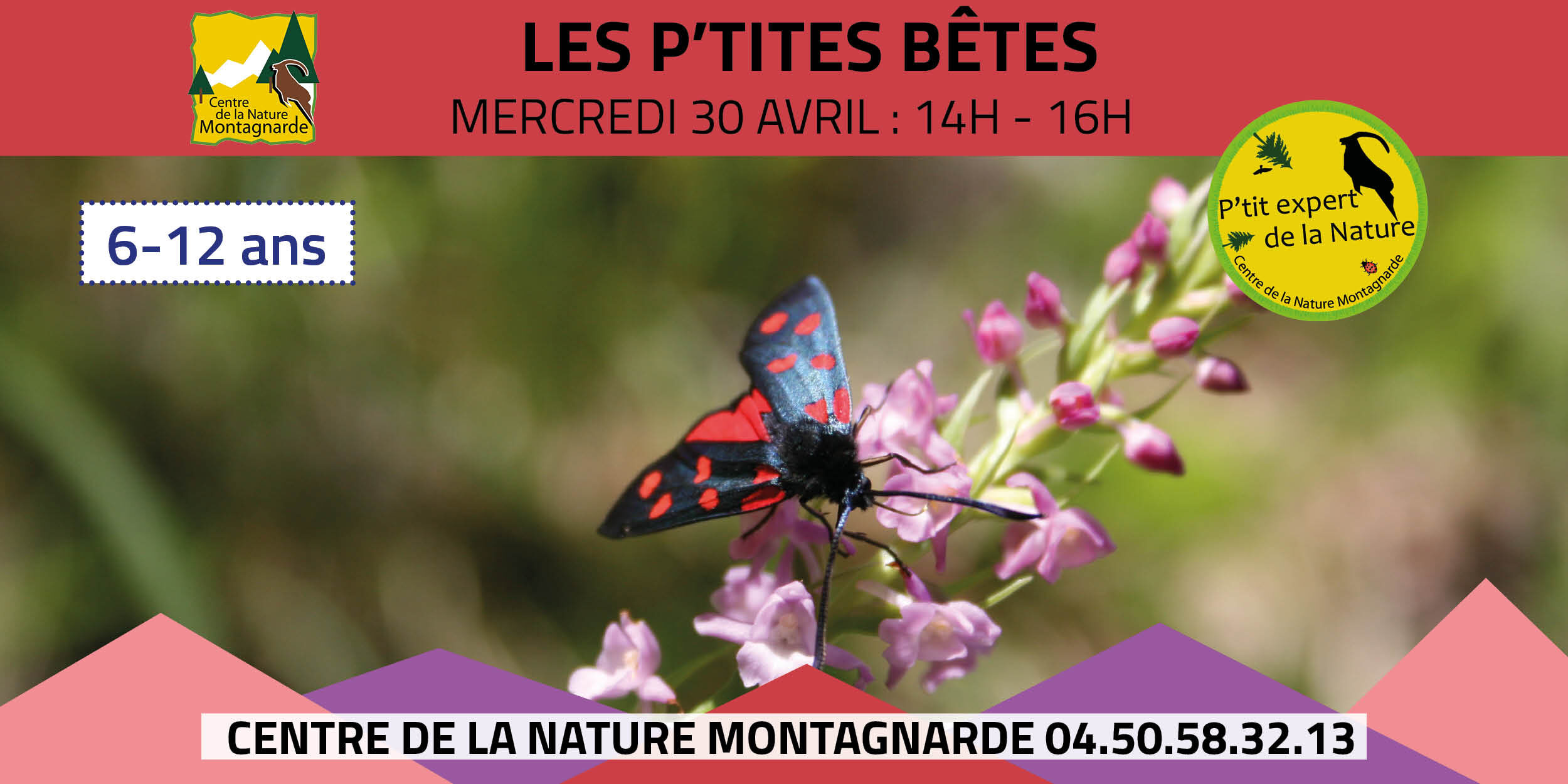 Les P'tits Experts de la Nature® - Les P'tites Bêtes