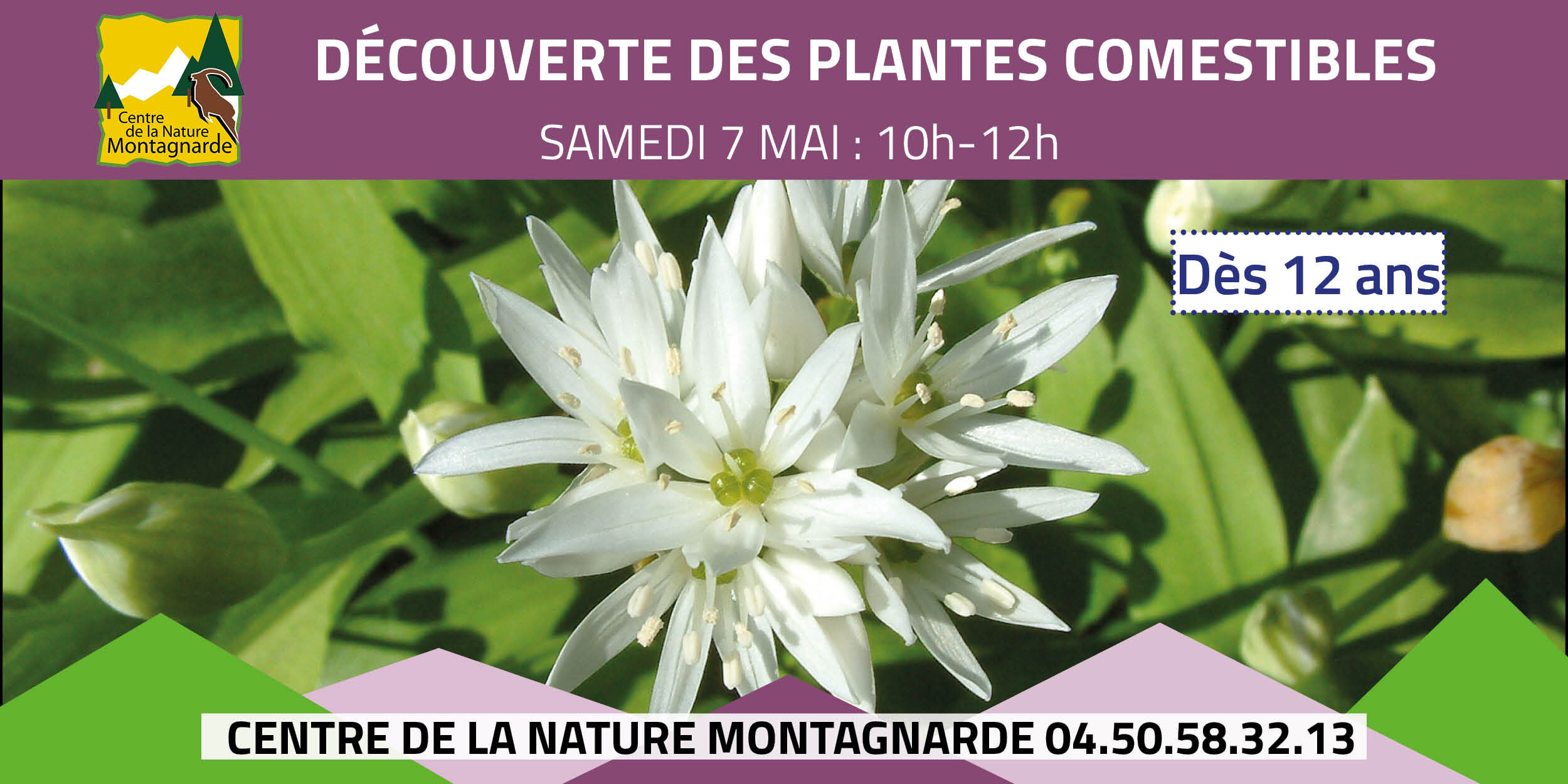 Découverte des plantes comestibles