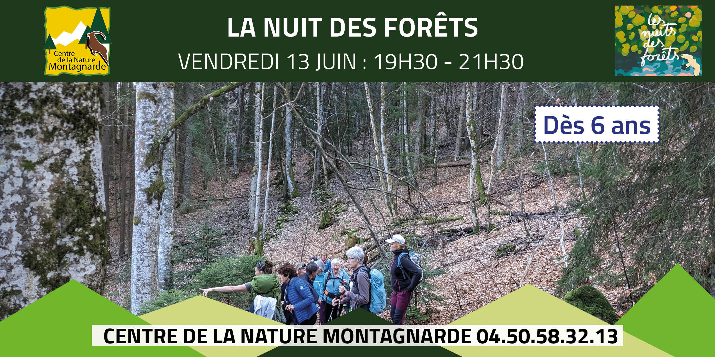 Les nuits des forêts