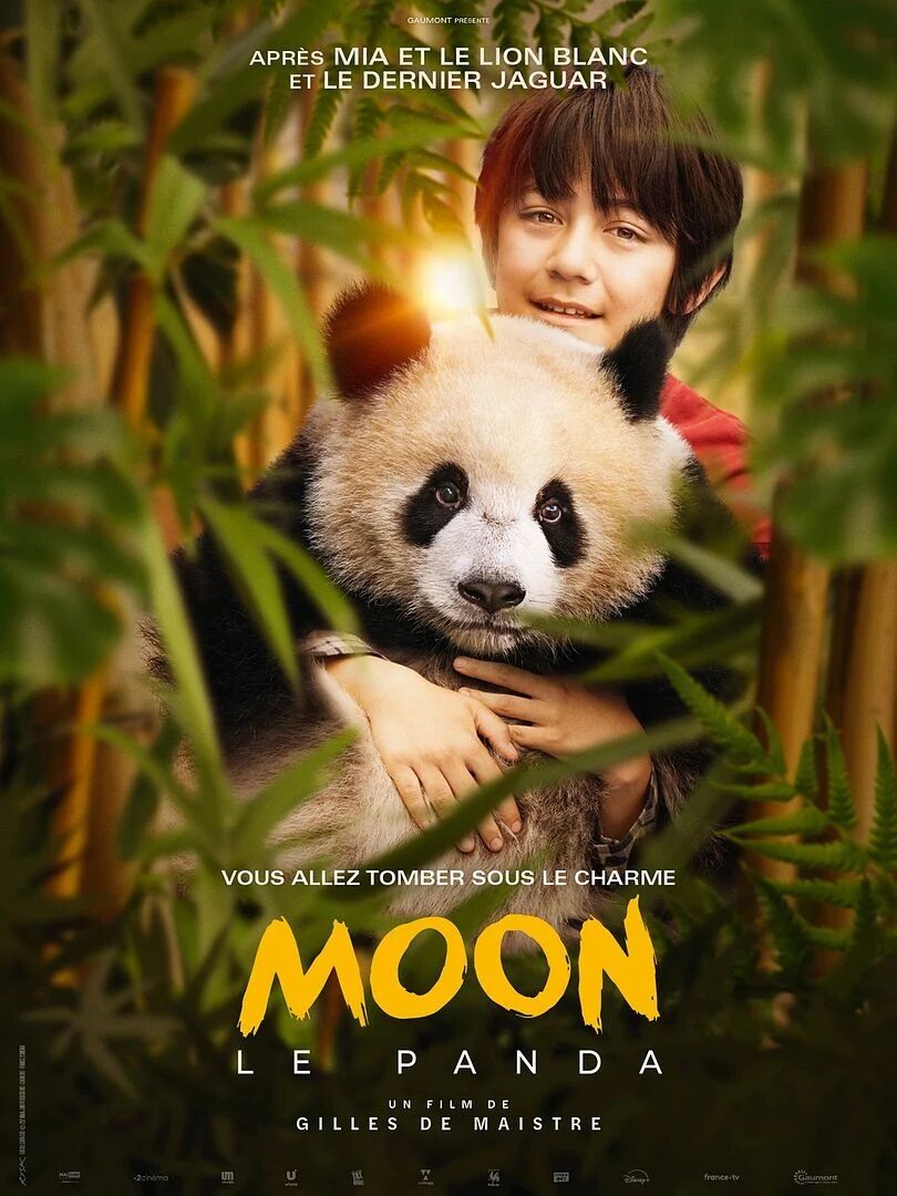 Ciné - Moon le panda